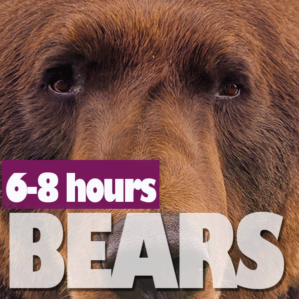 Most Popular - 6-8 hour Adventures
