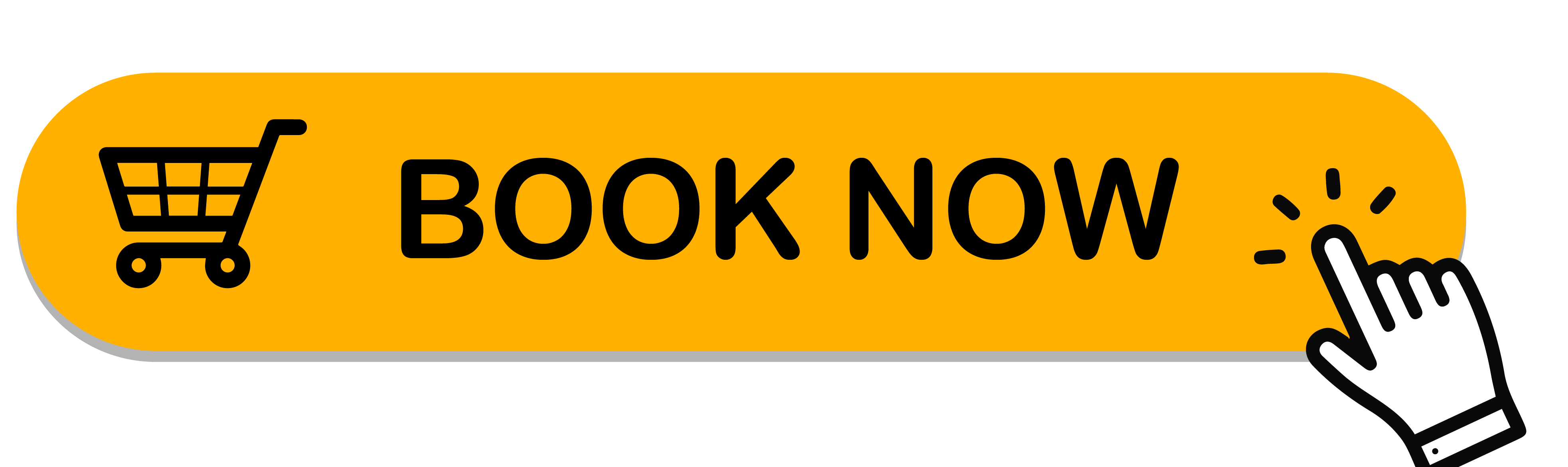 Book Now