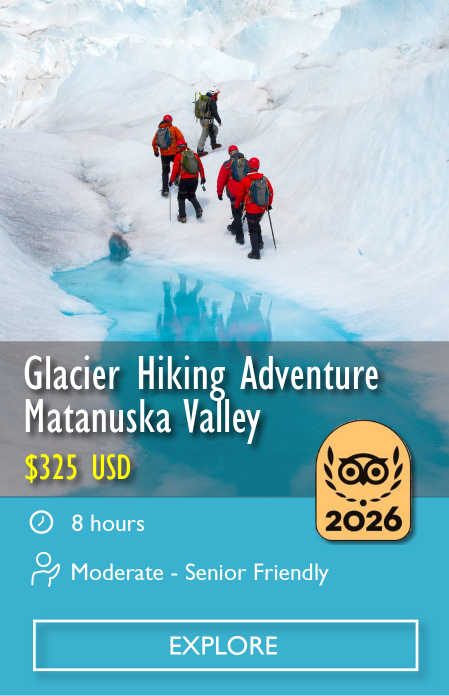 Hiking Glaciers