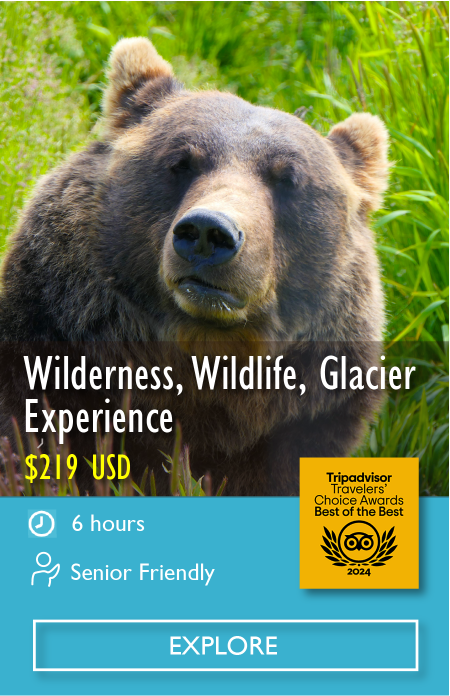 Wildlife & Glacier