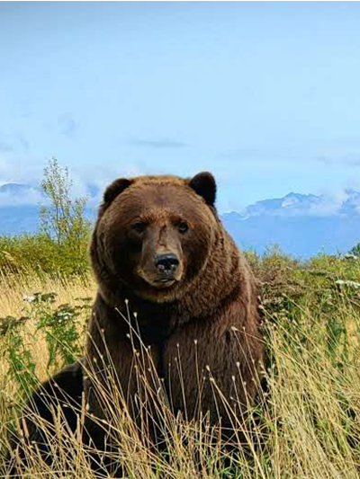PicTours Adventure Gallery Sample
