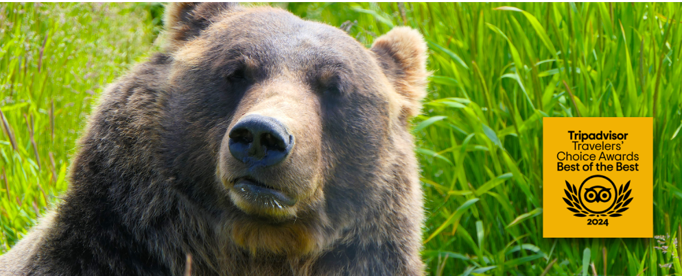 Wildlife tour